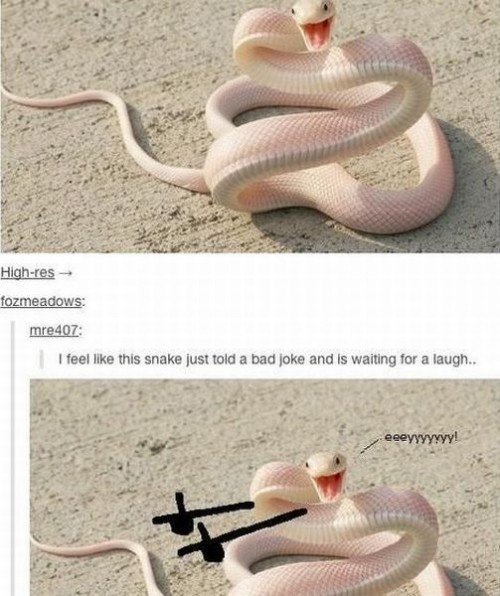 hornoxe.com_picdump318_043