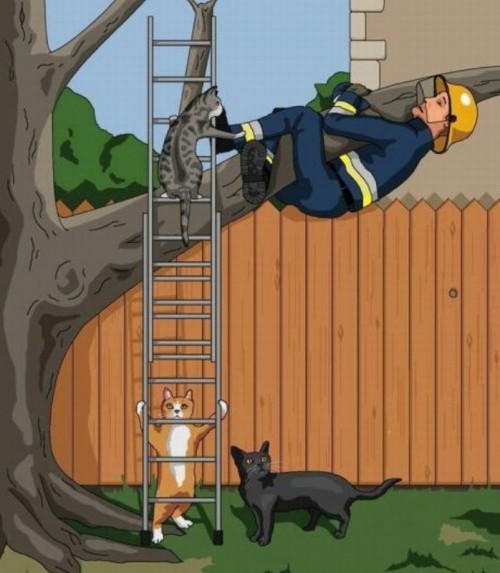 hornoxe.com_picdump318_048