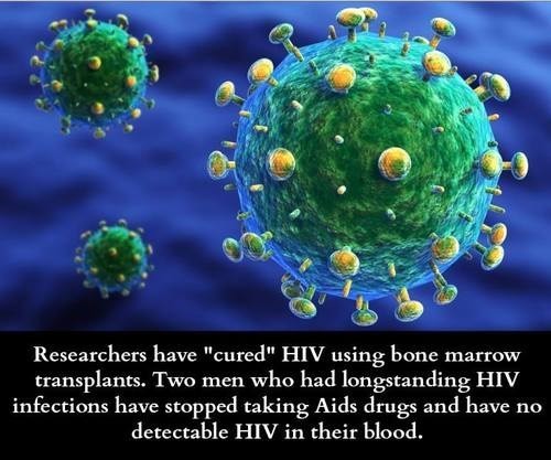 hornoxe.com_picdump318_079