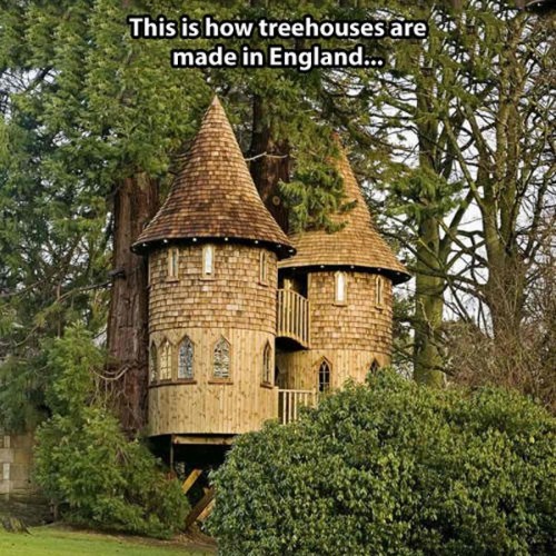 hornoxe.com_picdump318_082