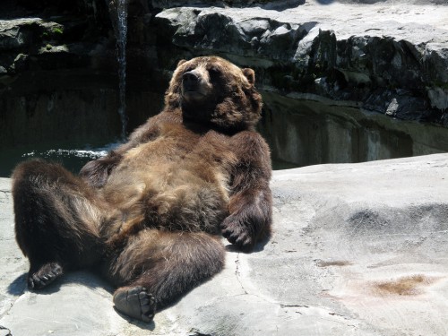 hornoxe.com_picdump318_092