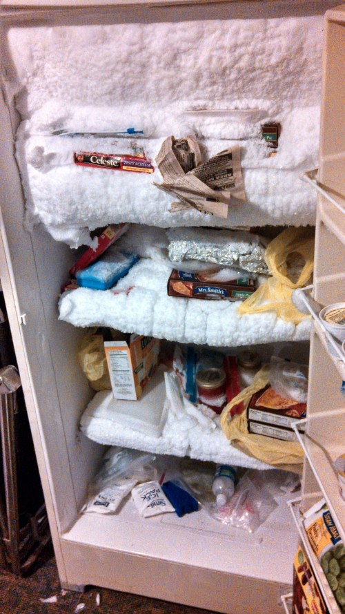 hornoxe.com_picdump318_133