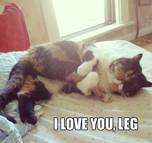 hornoxe.com_picdump318_151