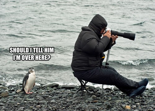 hornoxe.com_picdump318_152