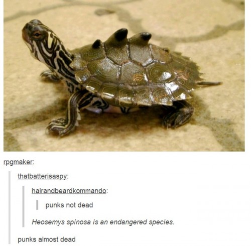 hornoxe.com_picdump319_002