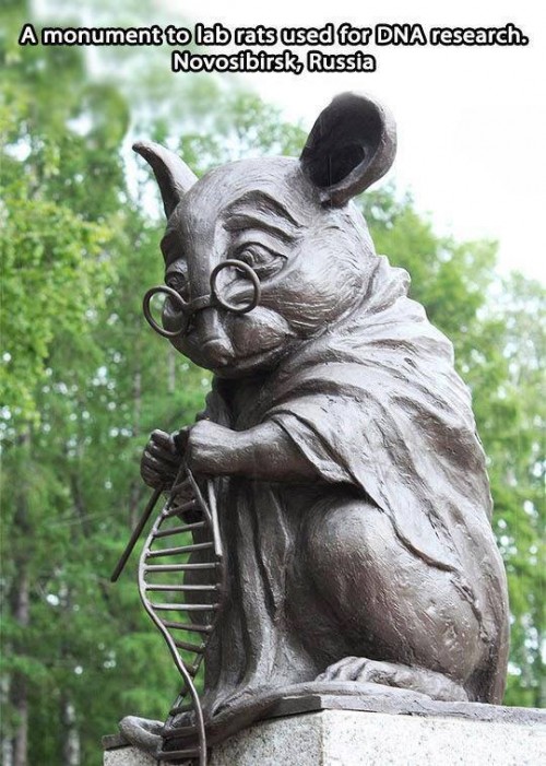 hornoxe.com_picdump319_010