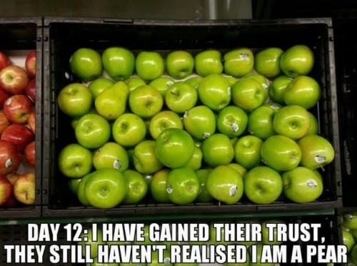 hornoxe.com_picdump319_059