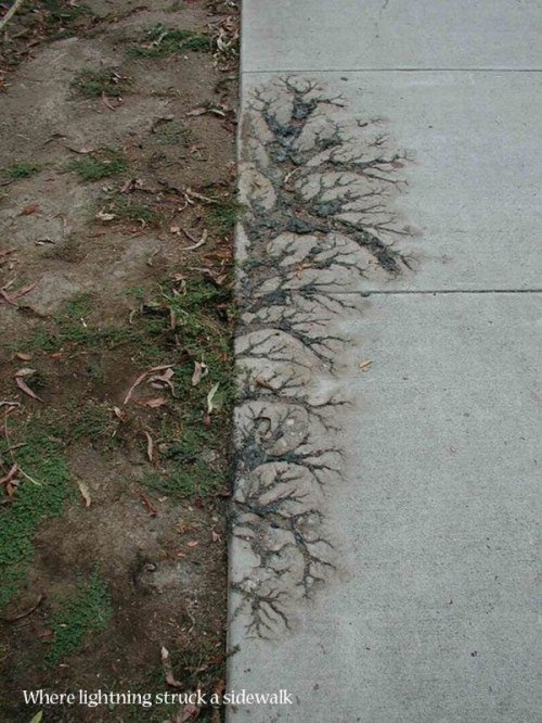 hornoxe.com_picdump319_088