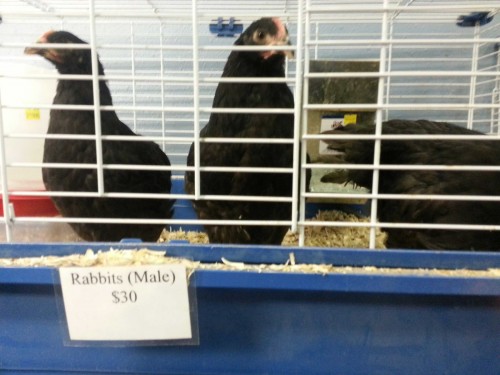 hornoxe.com_picdump319_131