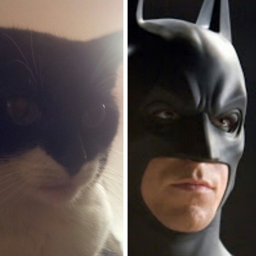 hornoxe.com_picdump319_134