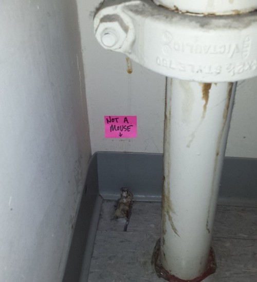 hornoxe.com_picdump319_139