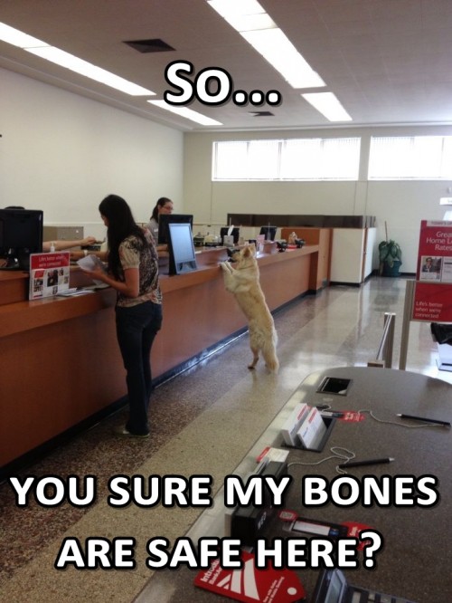 hornoxe.com_picdump319_165