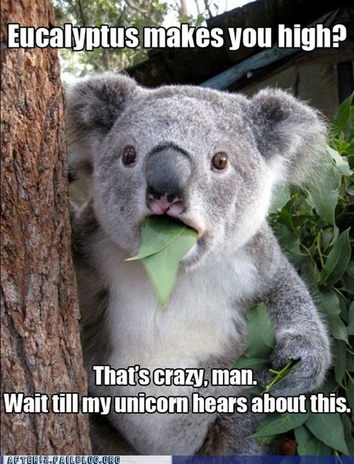 hornoxe.com_picdump321_001