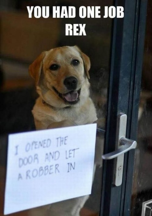 hornoxe.com_picdump321_046