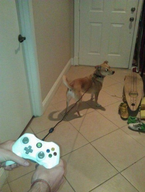 hornoxe.com_picdump321_067