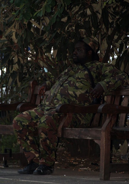 hornoxe.com_picdump321_119