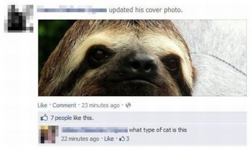 hornoxe.com_picdump321_130