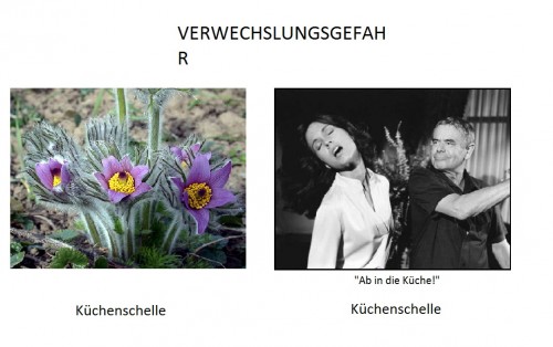 hornoxe.com_picdump322_015