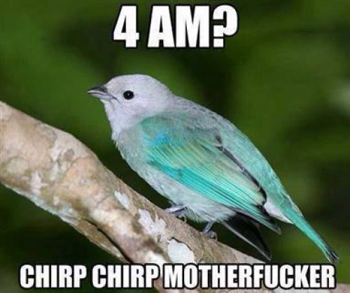 hornoxe.com_picdump322_017