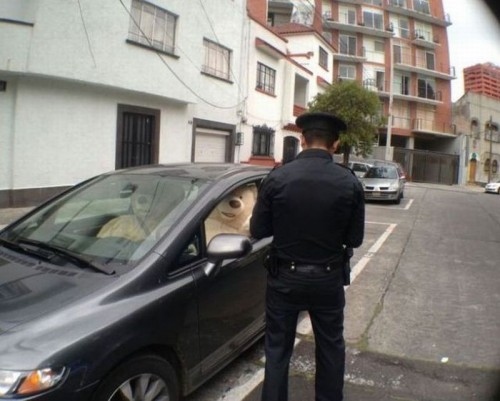 hornoxe.com_picdump322_036