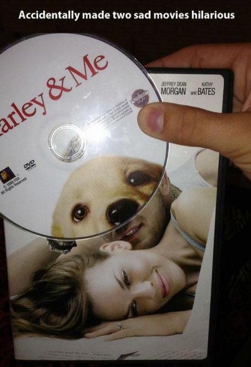 hornoxe.com_picdump322_041