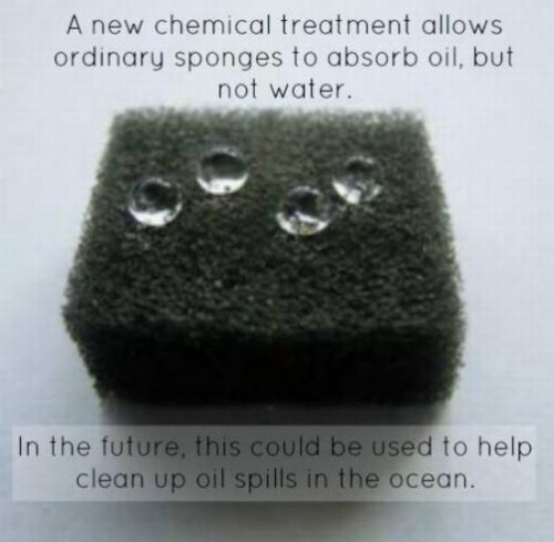 hornoxe.com_picdump322_089