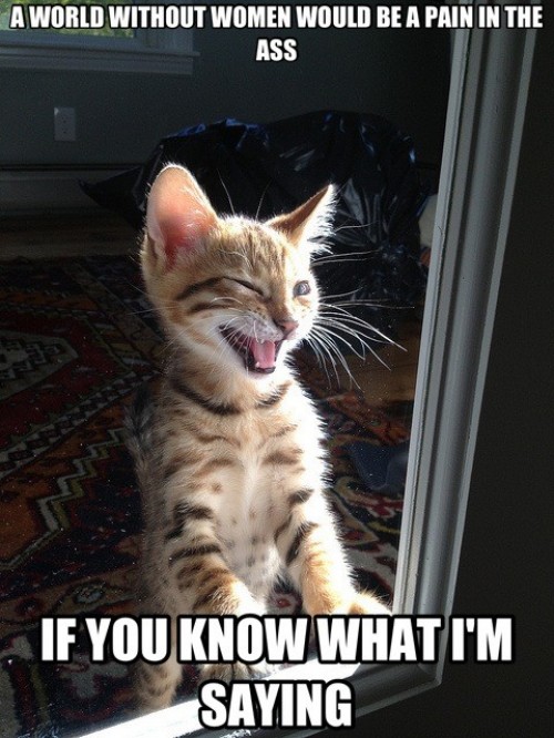 hornoxe.com_picdump322_109