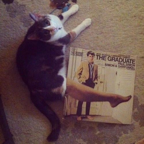 hornoxe.com_picdump322_120