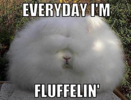 hornoxe.com_picdump322_149