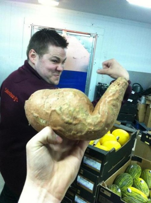 hornoxe.com_picdump323_011