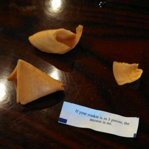 hornoxe.com_picdump323_072