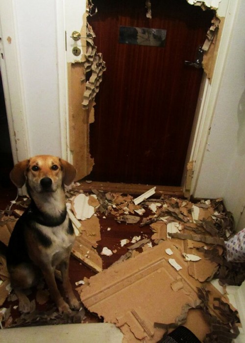 hornoxe.com_picdump323_081