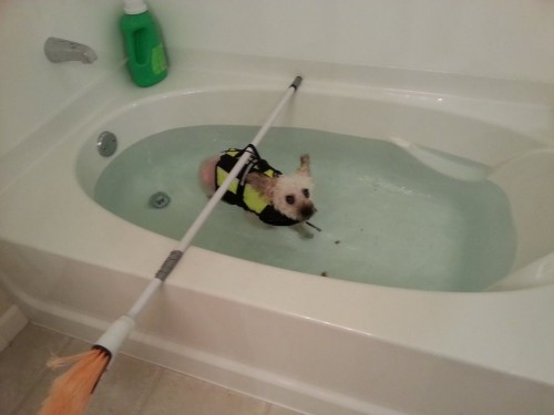 hornoxe.com_picdump323_113