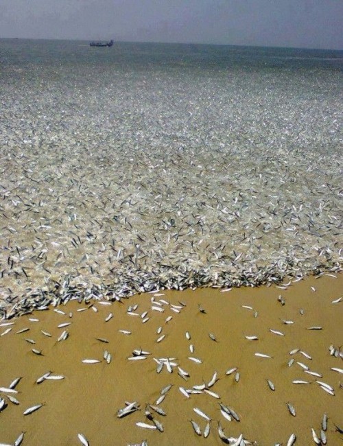 hornoxe.com_picdump323_115