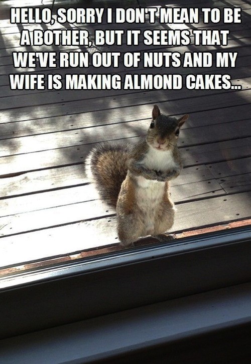 hornoxe.com_picdump323_140