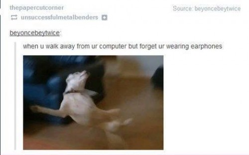 hornoxe.com_picdump324_001