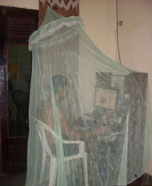 hornoxe.com_picdump324_046