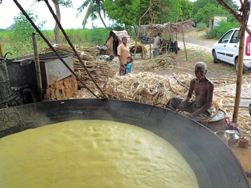 hornoxe.com_picdump324_071