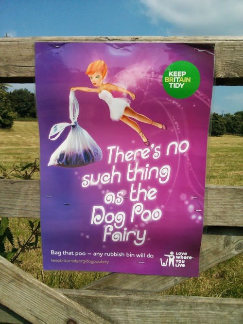 hornoxe.com_picdump324_075