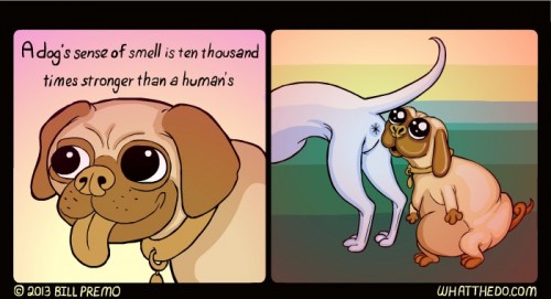 hornoxe.com_picdump324_091