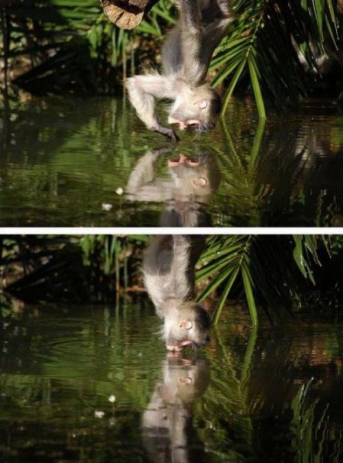 hornoxe.com_picdump324_098