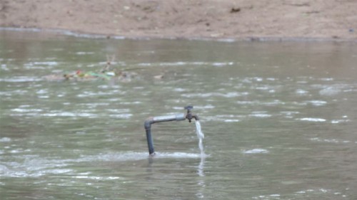 hornoxe.com_picdump324_100