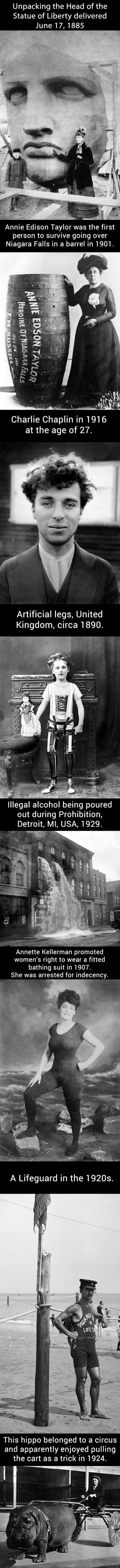 hornoxe.com_picdump324_121