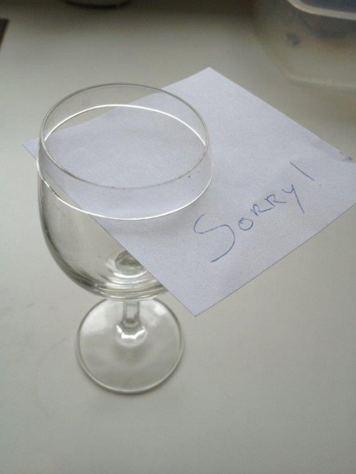 hornoxe.com_picdump325_033