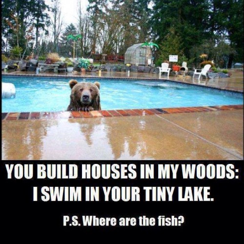 hornoxe.com_picdump325_034