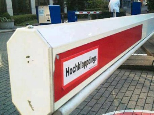 hornoxe.com_picdump325_035