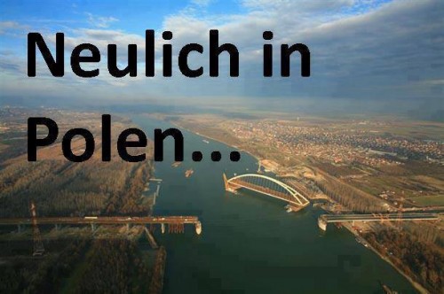 hornoxe.com_picdump325_038