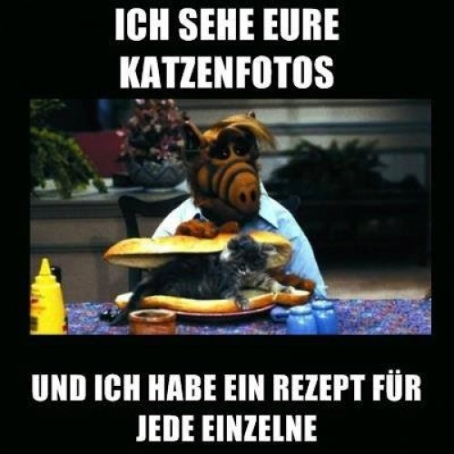 hornoxe.com_picdump325_041