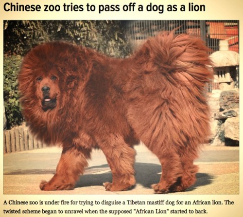 hornoxe.com_picdump325_047