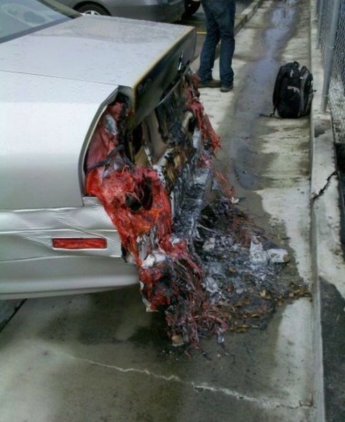 hornoxe.com_picdump325_063